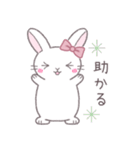 毎日使えるシンプル挨拶☆リボンうさぎ（個別スタンプ：16）