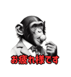 チンパンジーの毎日挨拶♪（個別スタンプ：3）