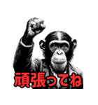 チンパンジーの毎日挨拶♪（個別スタンプ：8）