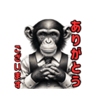 チンパンジーの毎日挨拶♪（個別スタンプ：13）