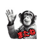 チンパンジーの毎日挨拶♪（個別スタンプ：16）
