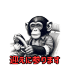 チンパンジーの毎日挨拶♪（個別スタンプ：19）
