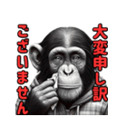 チンパンジーの毎日挨拶♪（個別スタンプ：23）