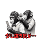 チンパンジーの毎日挨拶♪（個別スタンプ：24）