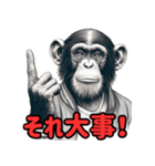 チンパンジーの毎日挨拶♪（個別スタンプ：30）