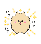 よりっこアニマルズ（個別スタンプ：25）