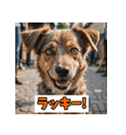 笑顔いっぱいLINEスタンプ（個別スタンプ：1）