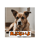笑顔いっぱいLINEスタンプ（個別スタンプ：3）