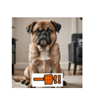 笑顔いっぱいLINEスタンプ（個別スタンプ：5）