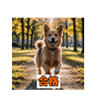 笑顔いっぱいLINEスタンプ（個別スタンプ：11）