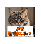 笑顔いっぱいLINEスタンプ（個別スタンプ：12）