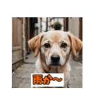 笑顔いっぱいLINEスタンプ（個別スタンプ：13）