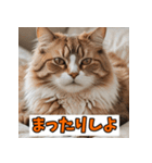 笑顔いっぱいLINEスタンプ（個別スタンプ：14）