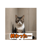 笑顔いっぱいLINEスタンプ（個別スタンプ：20）