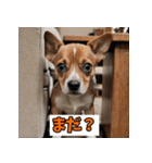 笑顔いっぱいLINEスタンプ（個別スタンプ：23）