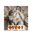 笑顔いっぱいLINEスタンプ（個別スタンプ：24）