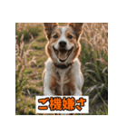 笑顔いっぱいLINEスタンプ（個別スタンプ：25）