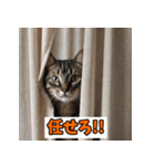 笑顔いっぱいLINEスタンプ（個別スタンプ：34）