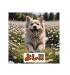 笑顔いっぱいLINEスタンプ（個別スタンプ：37）