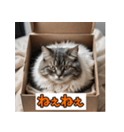 笑顔いっぱいLINEスタンプ（個別スタンプ：38）