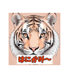 表情ゆたかなトラスタンプ（個別スタンプ：10）