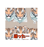 表情ゆたかなトラスタンプ（個別スタンプ：35）