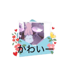 ボウニンゲンのボウちゃん（個別スタンプ：7）