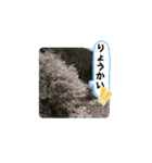 春ですね(桜ver.)（個別スタンプ：2）