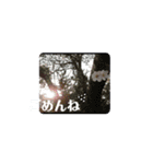 春ですね(桜ver.)（個別スタンプ：4）