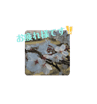 春ですね(桜ver.)（個別スタンプ：9）
