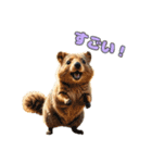 愛らしいクオッカ4（日本語）（個別スタンプ：1）