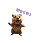 愛らしいクオッカ4（日本語）（個別スタンプ：3）