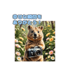 愛らしいクオッカ4（日本語）（個別スタンプ：13）