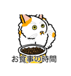 猫あるある（ぶち猫（白茶）／長毛）（個別スタンプ：3）