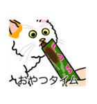 猫あるある（ぶち猫（白茶）／長毛）（個別スタンプ：4）