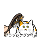 猫あるある（ぶち猫（白茶）／長毛）（個別スタンプ：12）