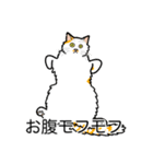 猫あるある（ぶち猫（白茶）／長毛）（個別スタンプ：14）