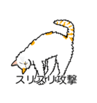 猫あるある（ぶち猫（白茶）／長毛）（個別スタンプ：15）