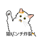猫あるある（ぶち猫（白茶）／長毛）（個別スタンプ：17）