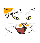 猫あるある（ぶち猫（白茶）／長毛）（個別スタンプ：18）
