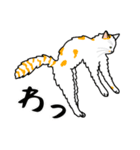 猫あるある（ぶち猫（白茶）／長毛）（個別スタンプ：21）