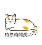 猫あるある（ぶち猫（白茶）／長毛）（個別スタンプ：22）
