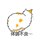 猫あるある（ぶち猫（白茶）／長毛）（個別スタンプ：31）