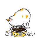 猫あるある（ぶち猫（白茶）／長毛）（個別スタンプ：32）