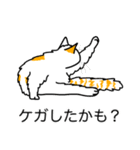 猫あるある（ぶち猫（白茶）／長毛）（個別スタンプ：34）