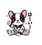 ぱしゃまぶる、今日もゆるい（個別スタンプ：1）