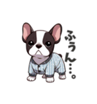 ぱしゃまぶる、今日もゆるい（個別スタンプ：17）