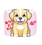 ゴールデンのこいぬ＊もふもふ日和（個別スタンプ：2）