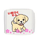 ゴールデンのこいぬ＊もふもふ日和（個別スタンプ：6）