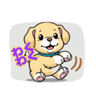 ゴールデンのこいぬ＊もふもふ日和（個別スタンプ：11）